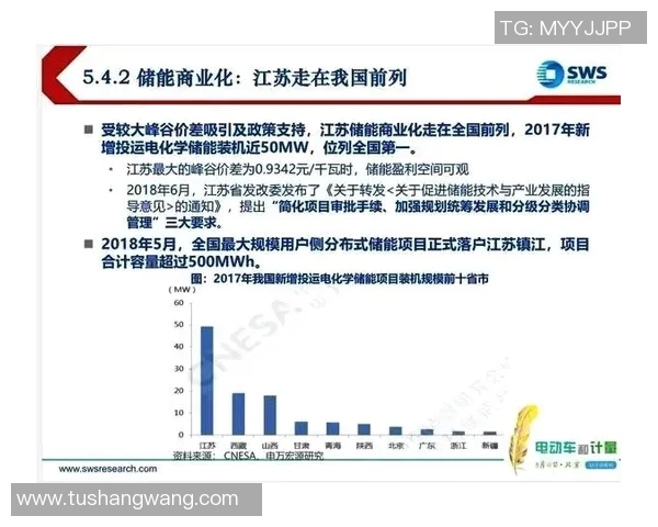 利马联盟与怕没的对决分析及未来发展趋势探讨