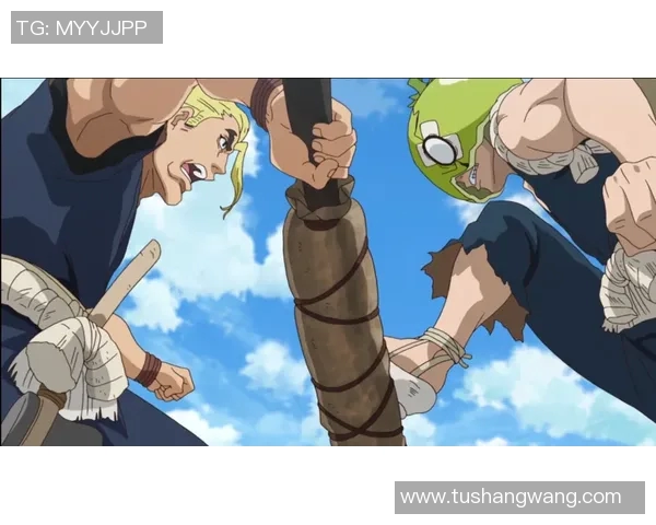 金泽塞维与馨田的精彩对决解析及双方战术特点分析