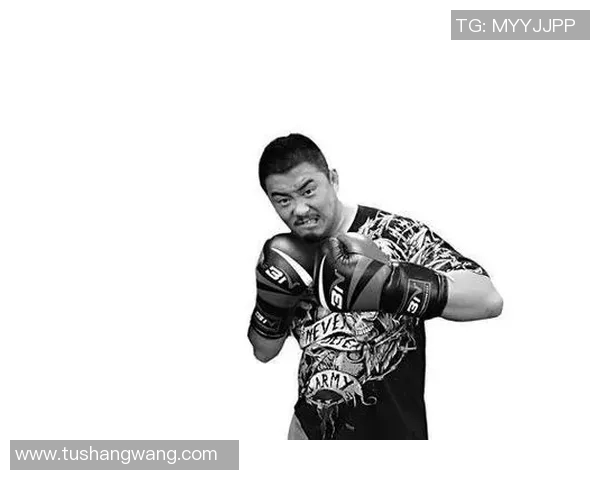 徐小东太极与格斗对决视频解析引发热议的武术真相探讨