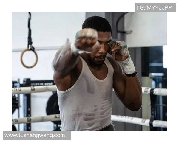 尼克迪亚兹的传奇人生与拳击生涯背后的故事与启示 尼克迪亚兹的传奇人生与拳击生涯背后的故事与启示