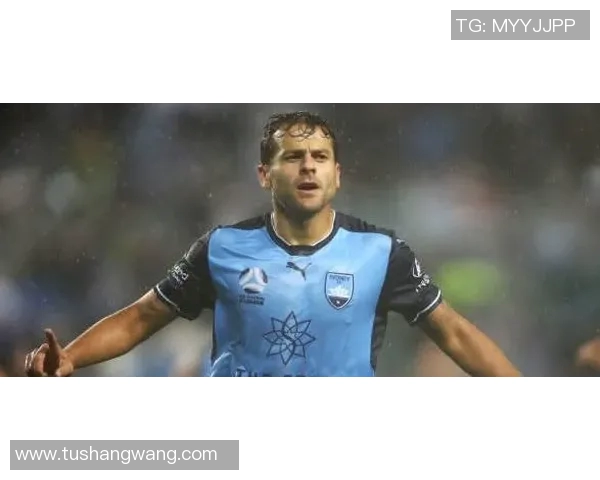 悉尼FC与中岸水手激战正酣谁能在这场对决中笑到最后